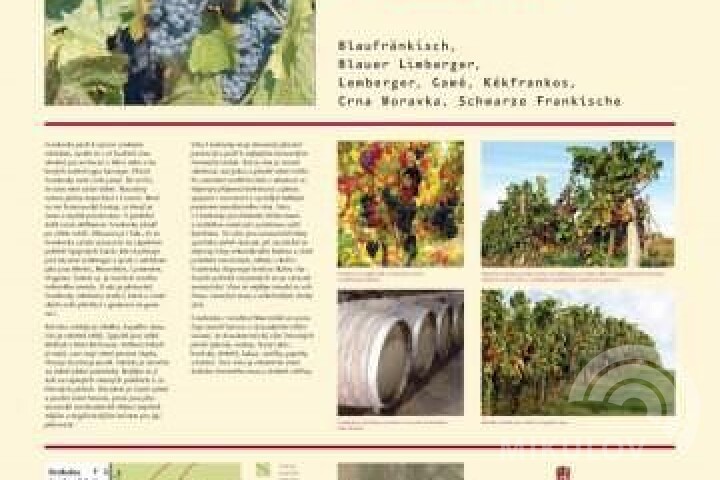 The educational viticulture path Stará Hora