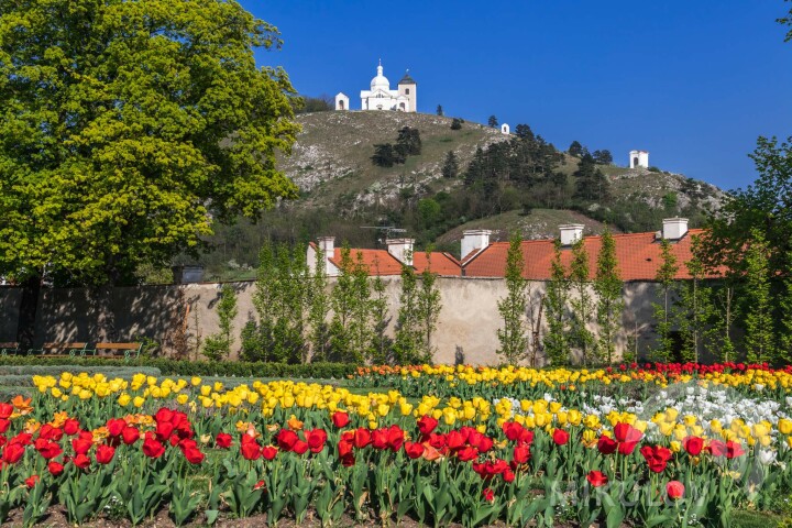 Svatý kopeček (Święta górka)