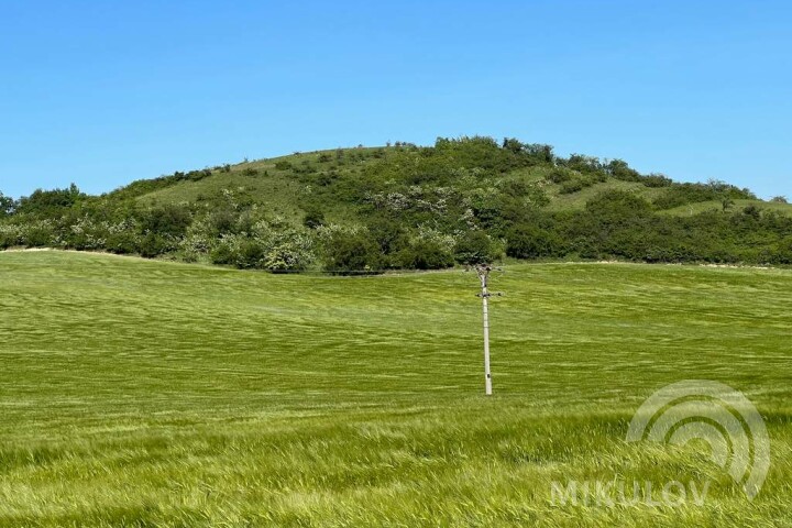 Liščí vrch (Fox Peak)