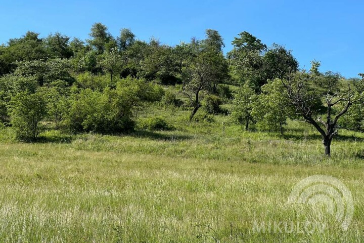 Liščí vrch (Fox Peak)