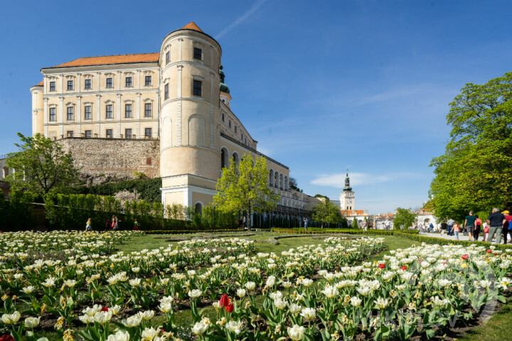 Velikonoční Mikulov