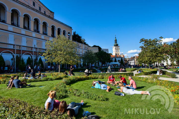 Pálavské vinobraní