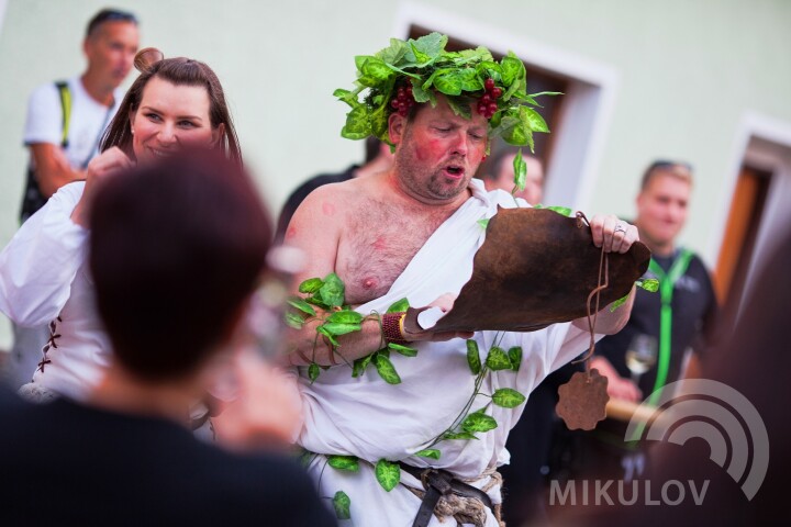 Pálavské vinobraní 2017