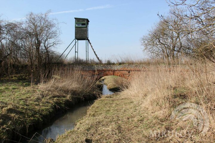 Projekt Mikulov Portz Insel