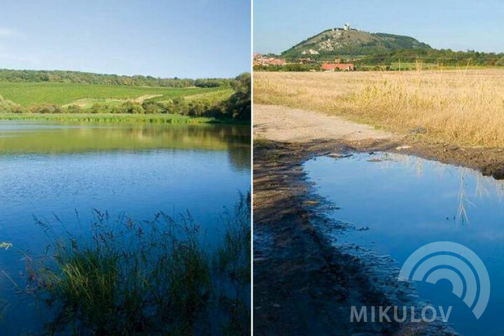 Górny Muszlowski staw (Horní Mušlovský rybník) i Widok na Świętą Górkę w Mikulowie (Svatý  kopeček).