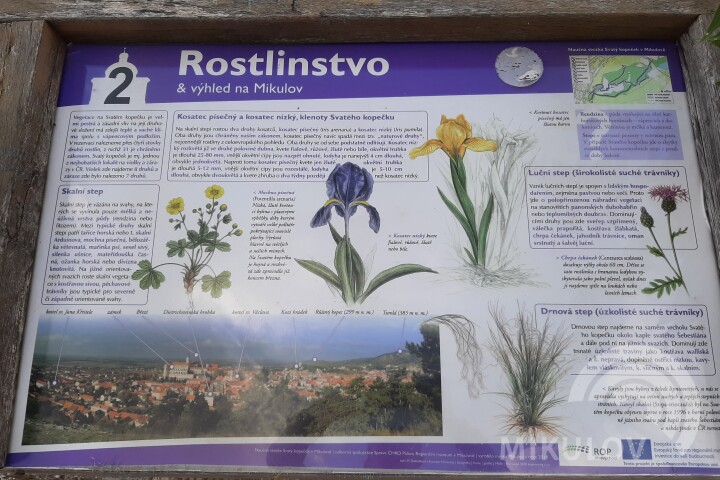 Rostlinstvo