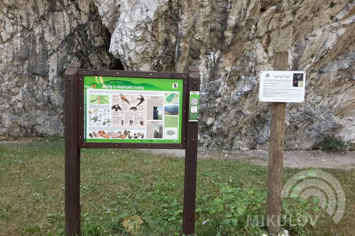 Cliffs and rocky slopes