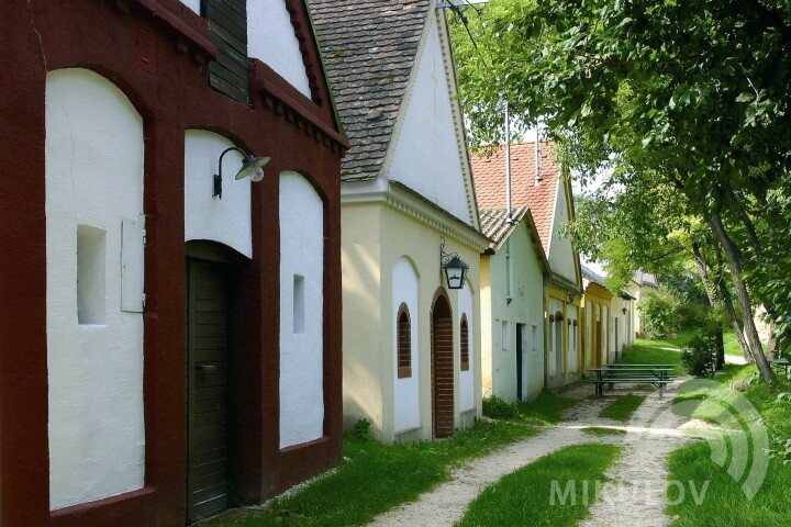 Unterstinkenbrunn - Kellerdorf "LOAMGRUI"