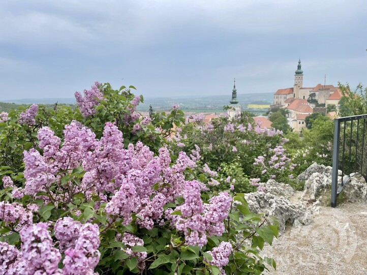 Dream Apt Mikulov