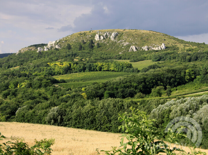 Landschaftsschutzgebiet Pálava