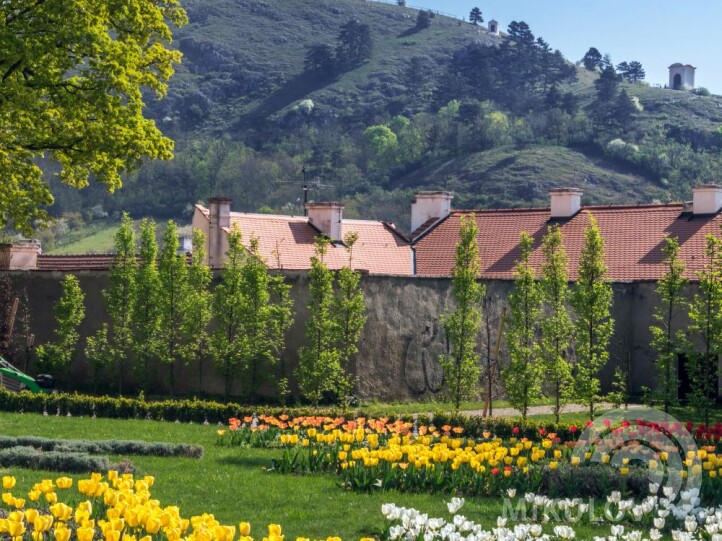 Schloss Mikulov - Regionalmuseum