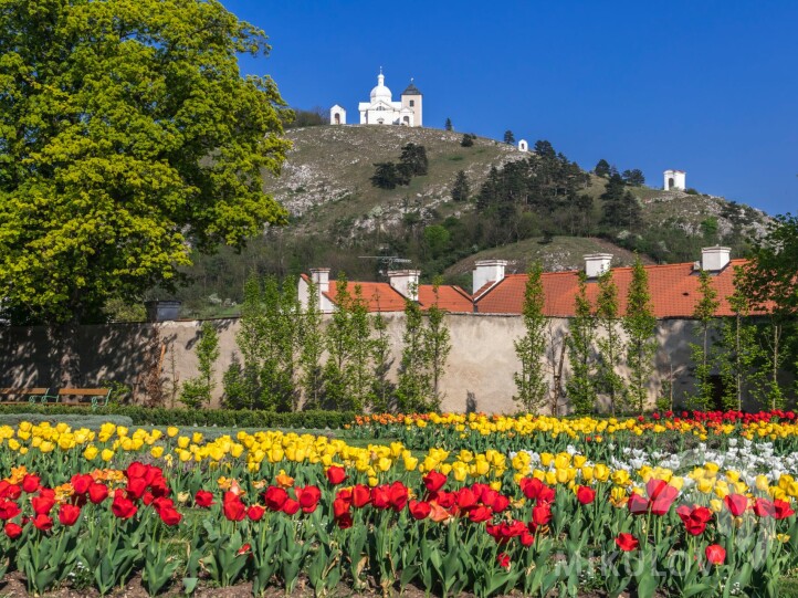 Schloss Mikulov - Regionalmuseum