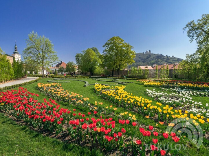 Schloss Mikulov - Regionalmuseum