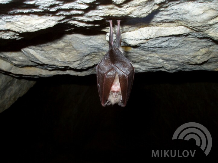 Turold-Höhle