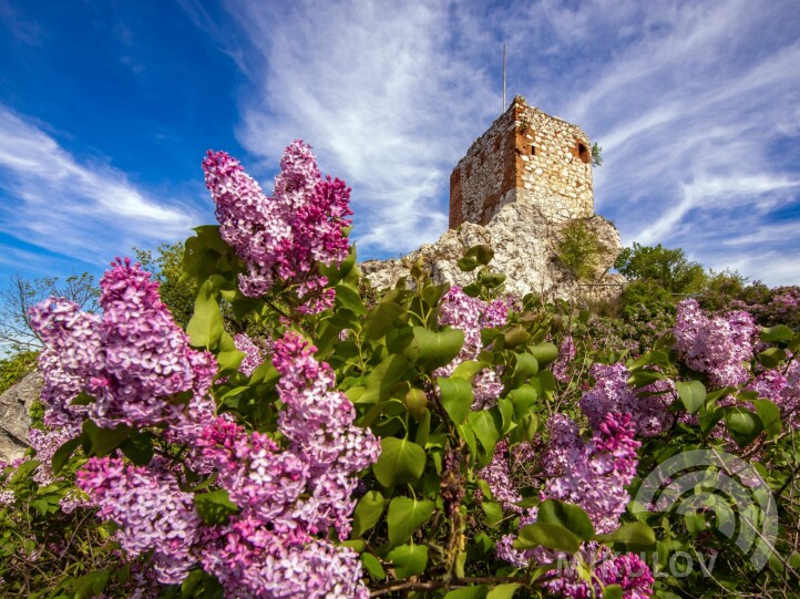 Kozí hrádek (Kozi Gródek)