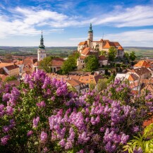 Schloss Mikulov - Regionalmuseum