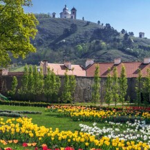 Schloss Mikulov - Regionalmuseum