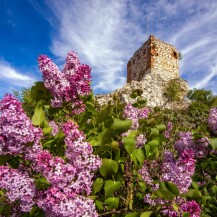 Kozí hrádek (Kozi Gródek)