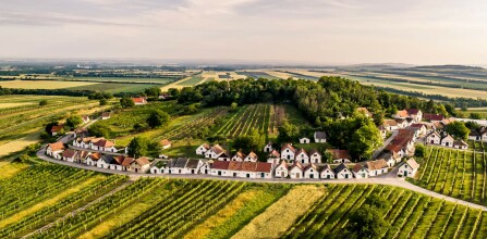 Świat malowniczych uliczek winnych piwnic